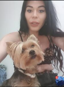 Travesti en Castellón: 