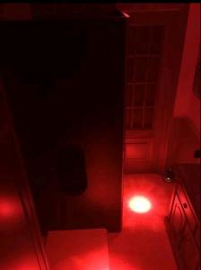 Transexual en Valencia: 