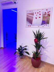 Chica busca chico en Barcelona: 