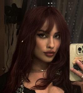 Travesti en Asturias: 