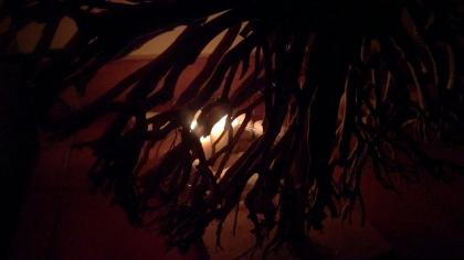 Chica busca chico en Huelva: 