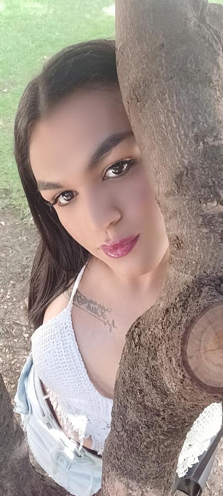 Transexual en Segovia: 