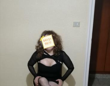 Chica busca chico en Navarra: 