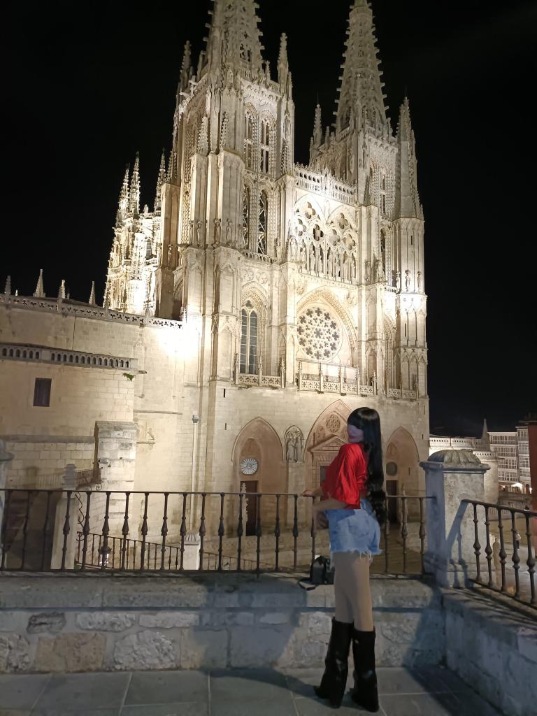 Transexual en Granada: 