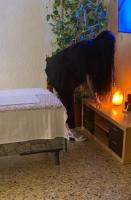 623242300: Virtual en Zaragoza