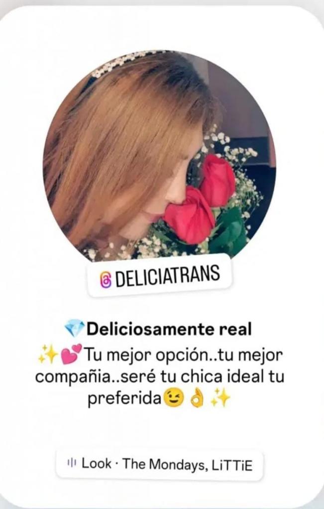 Transexual en Alicante: 