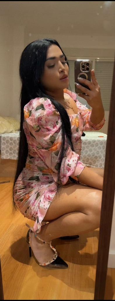 Travesti en Alicante: 