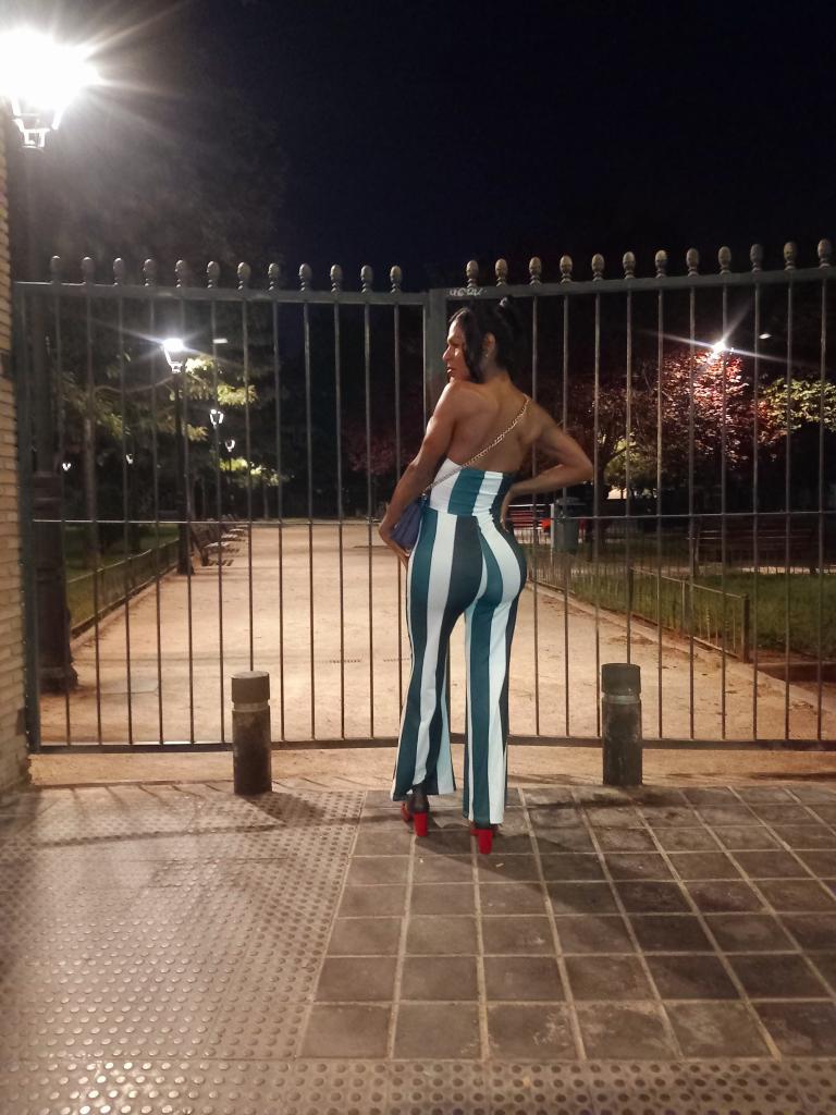 Travesti en Málaga: 