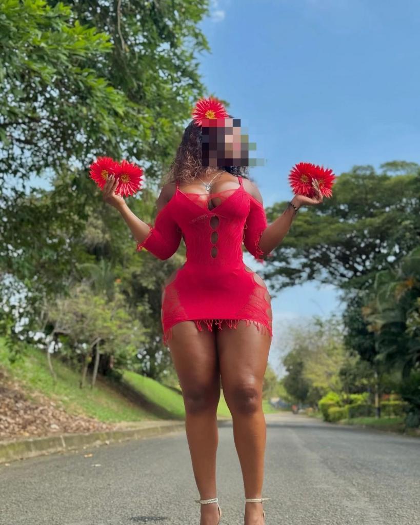 Chica busca chico en Alicante: 