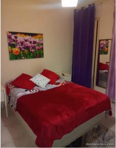 Chica busca chico en Cáceres: 