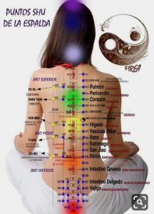 Chica busca chico en Lugo: 