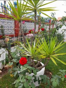 615692318: Chica busca chico en Cádiz