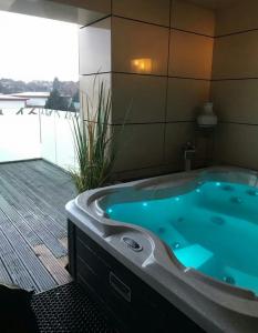 Chico busca chica en Málaga: 