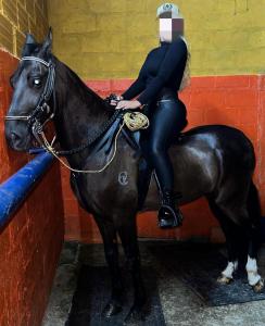 695848940: Chica busca chico en Las Palmas