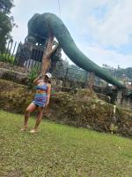 643984864: Chica busca chico en Huelva