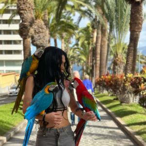 Transexual en Cantabria: 