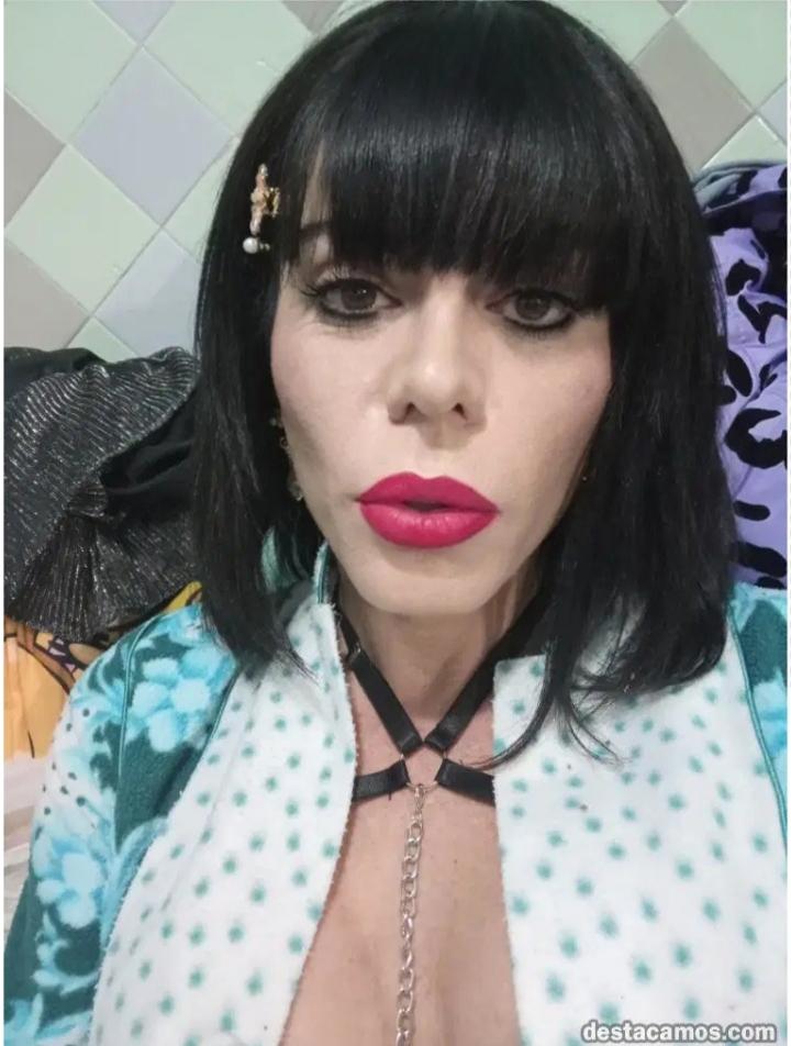 Travesti en Castellón: 