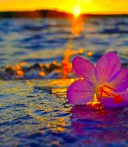 Chica busca chico en Vizcaya: 