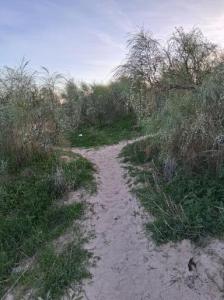 Chico busca chica en Cádiz: 