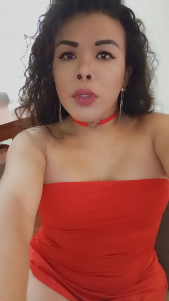 Travesti en Tarragona: 