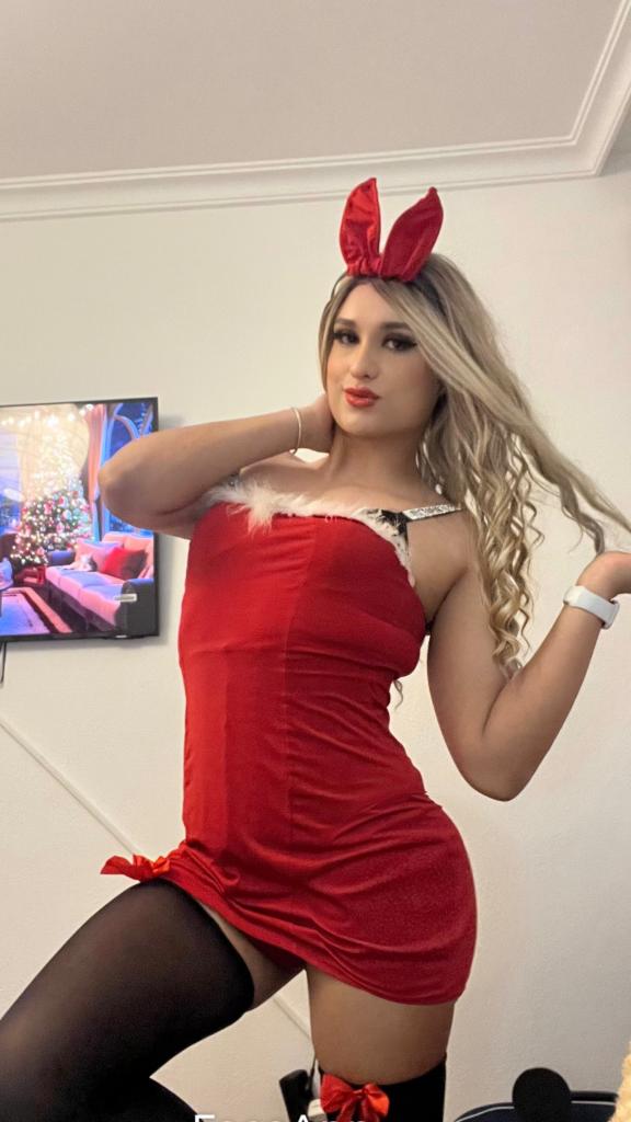 Travesti en Valencia: 