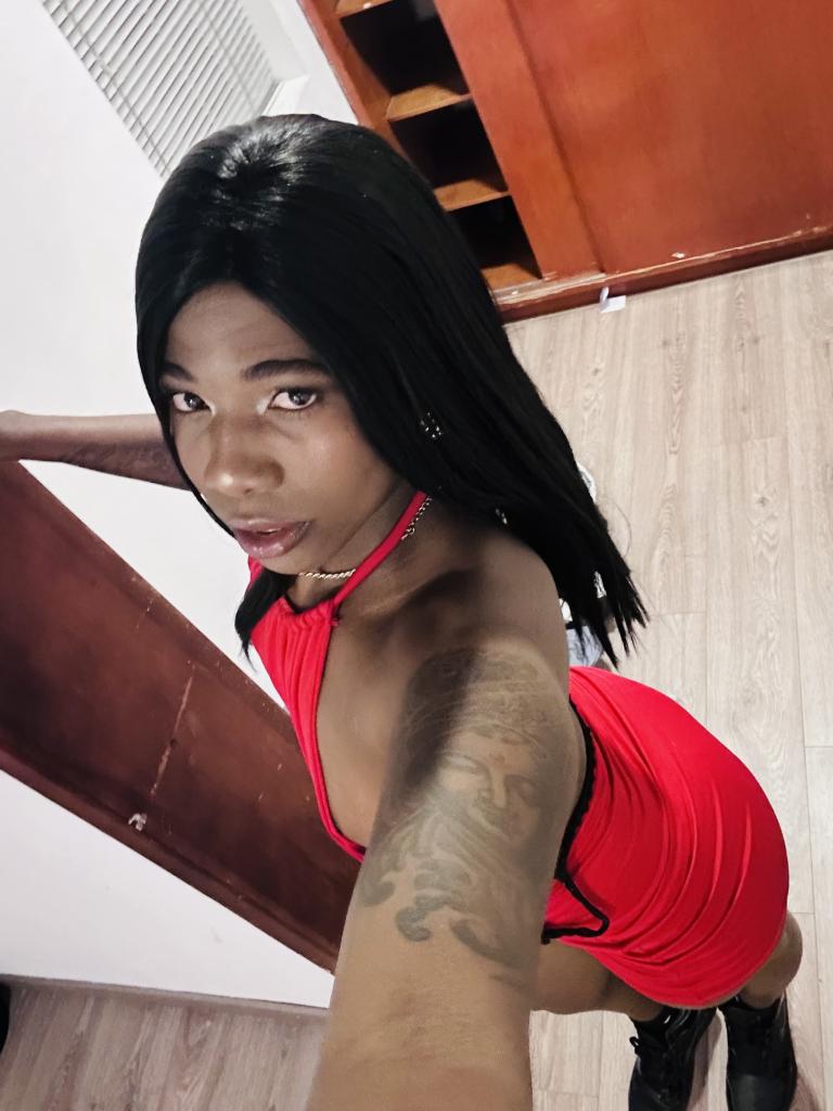 Transexual en Alicante: 