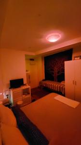 Chica busca chico en Zaragoza: 