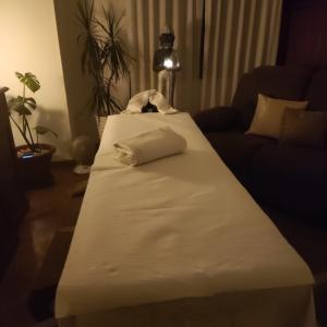 Chico busca chica en Asturias: 