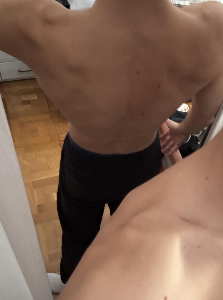 Chico busca chica en Navarra: 