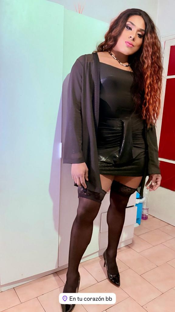 Transexual en Navarra: 