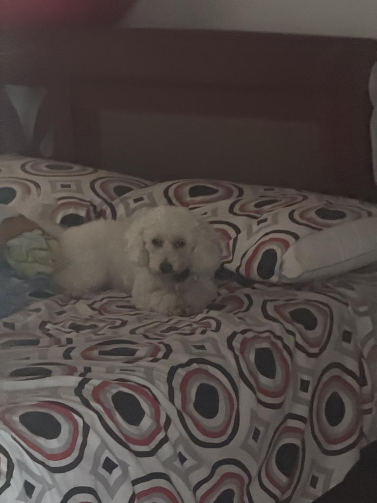 Chica busca chico en Lugo: 