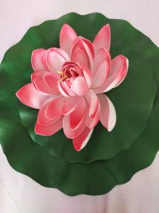 Chica busca chico en Tenerife: 