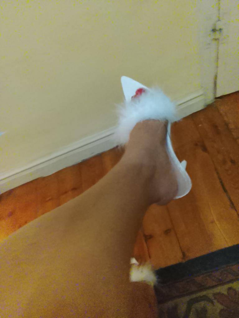 Chica busca chico en Cantabria: 