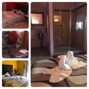 Chica busca chico en Valencia: 