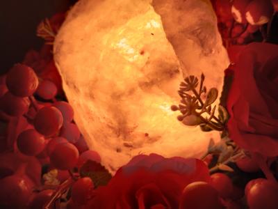 641185938: Virtual en Mallorca