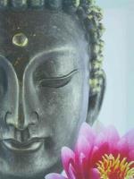 632008189: Chica busca chico en Álava