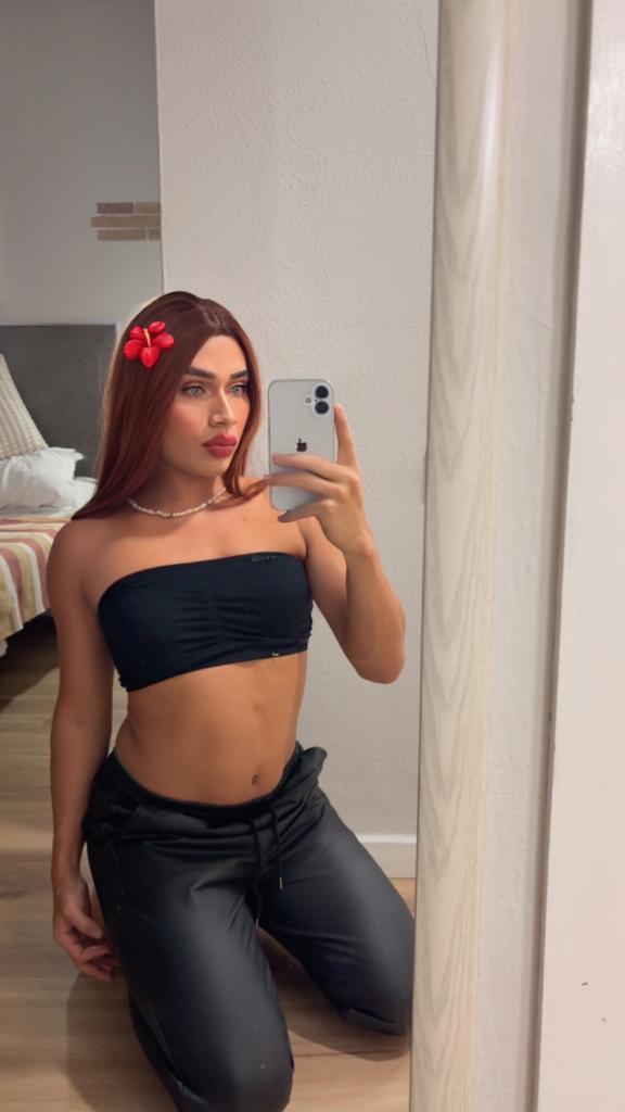 Travesti en Málaga: 