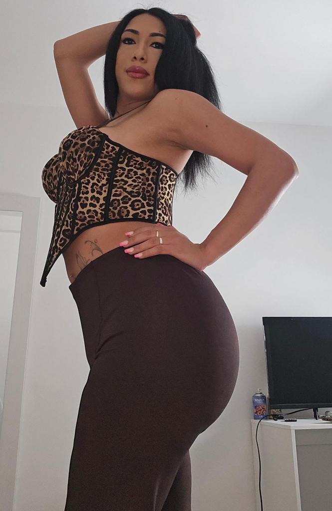 Travesti en Valencia: 