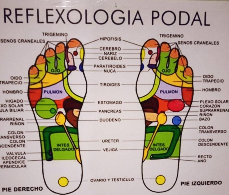 Chica busca chico en Barcelona: 