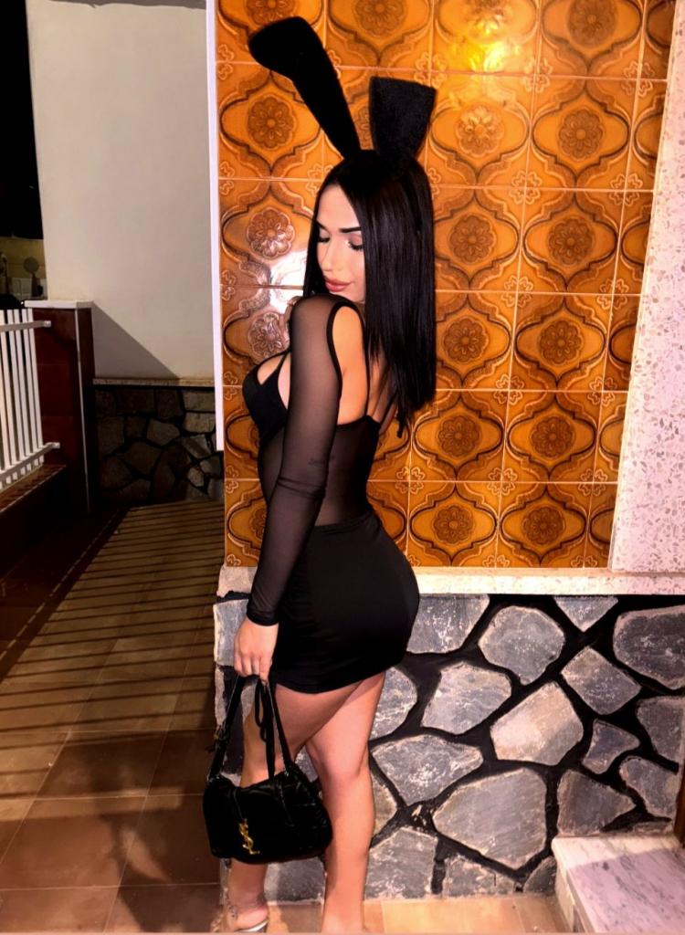 Transexual en Alicante: 