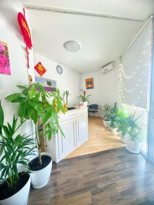 Chica busca chico en Barcelona: 