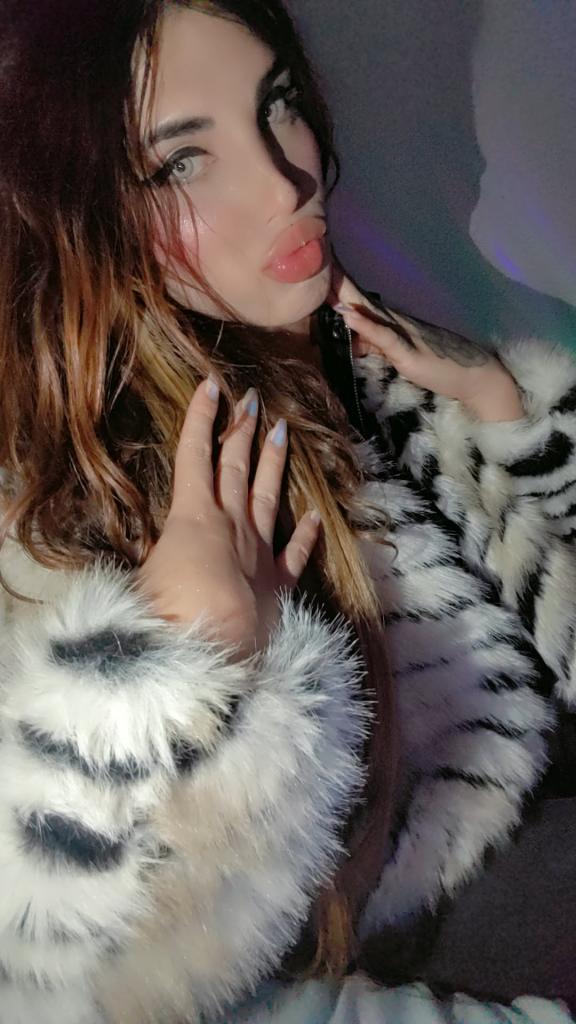 Travesti en Navarra: 