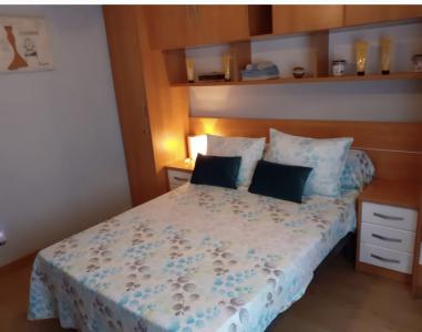 Chica busca chico en Vizcaya: 